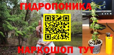 эйфоретик Обь