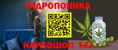 ешки Обнинск