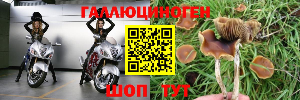 Псилоцибиновые грибы Magic Shrooms  Псилоцибиновые грибы Magic Shrooms  Сочи  Вход с VPN 